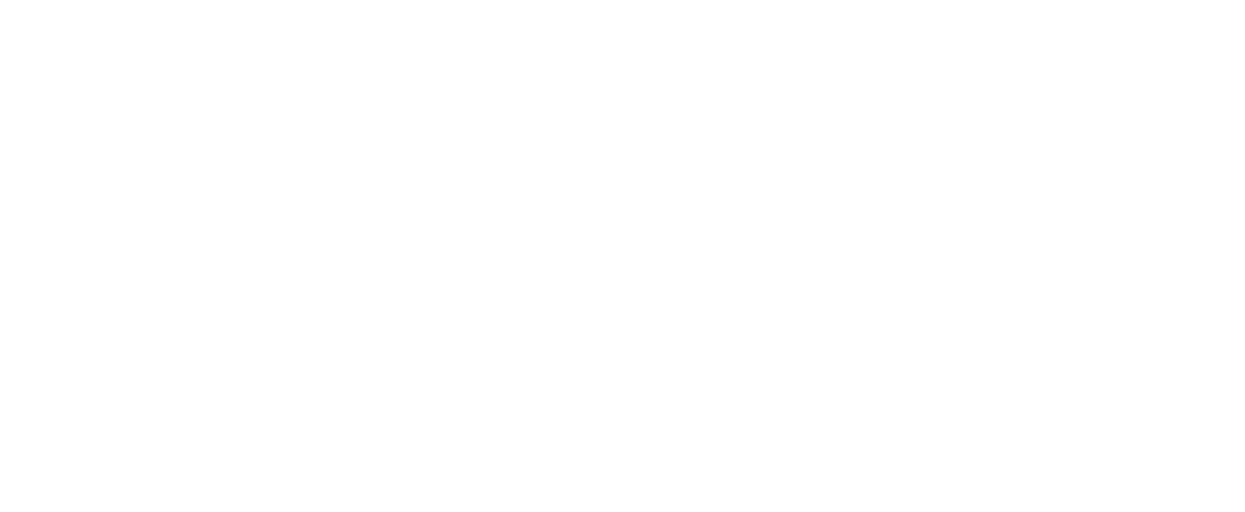 AUDIOTEC FISCHER AUDIOTEC FISCHER